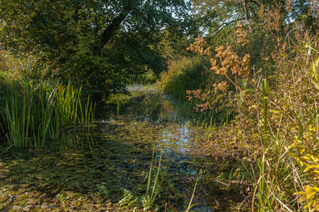 Обои картинки фото природа, реки, озера, простор