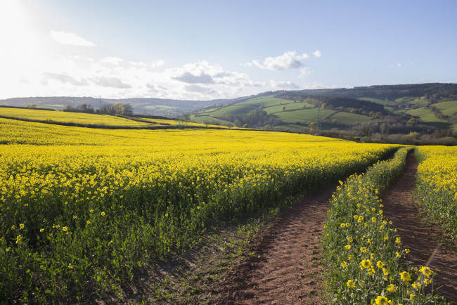 Обои картинки фото природа, дороги, простор