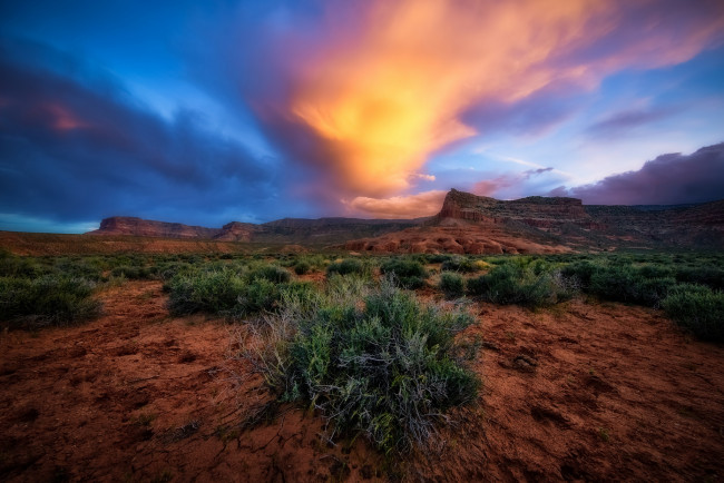 Обои картинки фото природа, пейзажи, простор