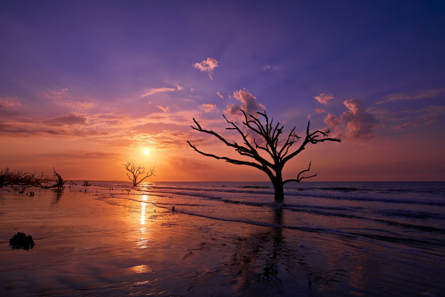 Обои картинки фото природа, восходы, закаты, простор