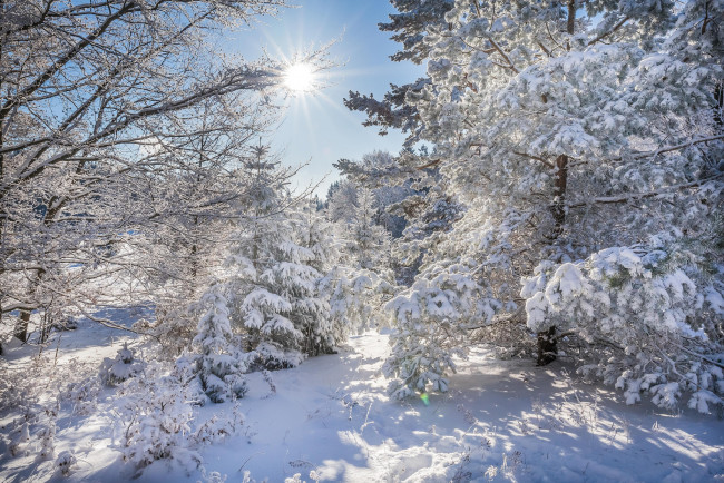 Обои картинки фото природа, зима, простор