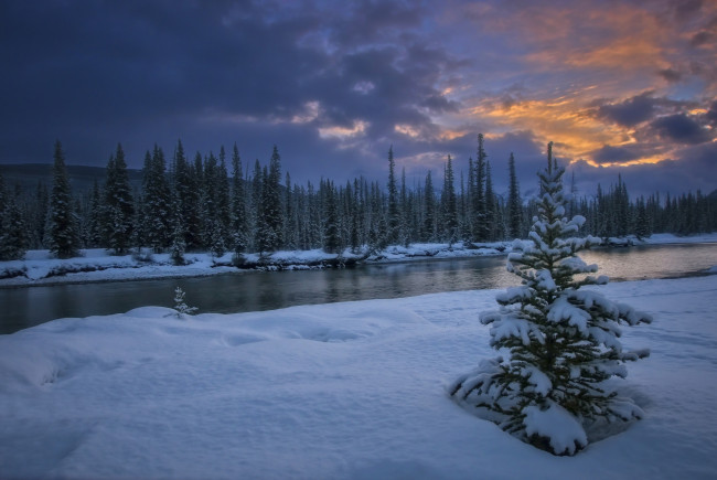 Обои картинки фото природа, зима, простор