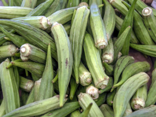 Картинка еда окра бамия