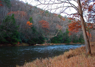 Картинка природа реки озера деревья вода река