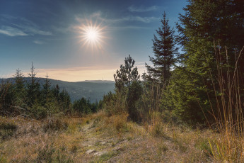 Картинка природа пейзажи простор