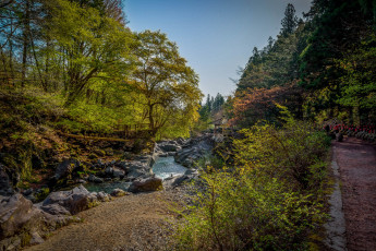 Картинка природа реки озера простор