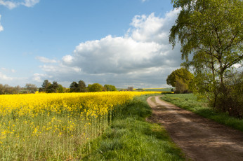 Картинка природа дороги простор