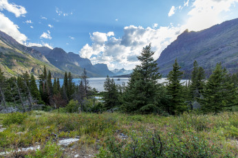 Картинка природа пейзажи простор