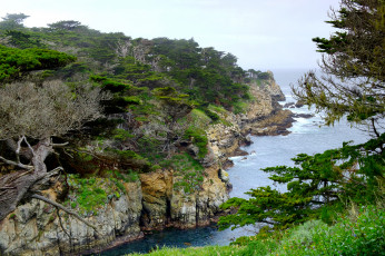 Картинка природа побережье простор