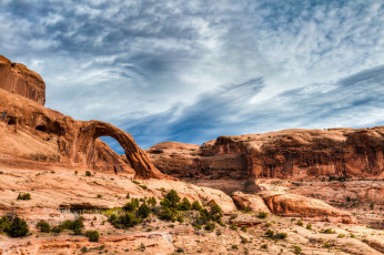 Картинка природа пустыни простор