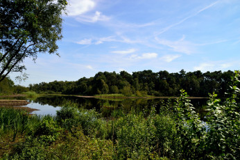 Картинка природа реки озера лето река