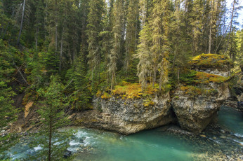 Картинка природа реки озера простор