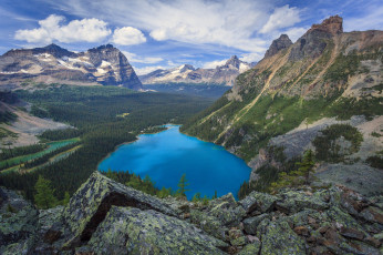 Картинка природа реки озера простор