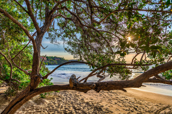 Картинка природа реки озера простор