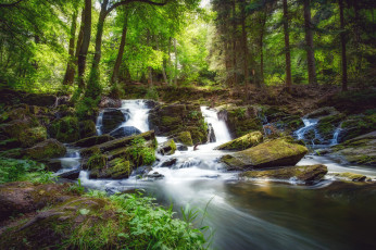 Картинка природа реки озера простор