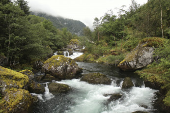 Картинка природа реки озера простор