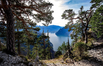 Картинка природа пейзажи простор