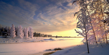 Картинка природа зима простор