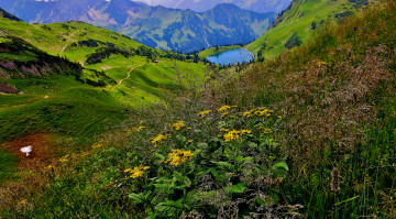 Картинка природа луга простор