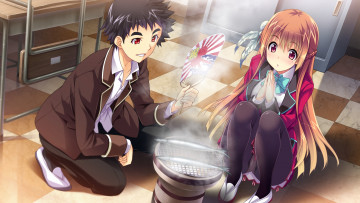 Картинка аниме baka+to+test+to+shoukanjuu фон взгляд девушка