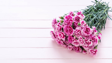 Картинка цветы гвоздики букет