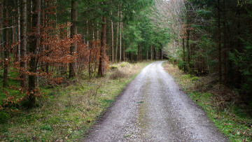 Картинка природа дороги простор