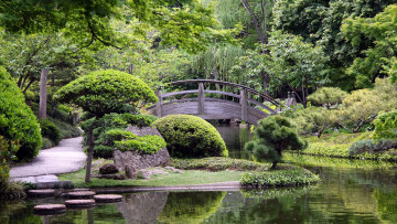 Картинка природа парк водоем мостик