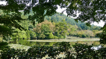 Картинка природа реки озера простор