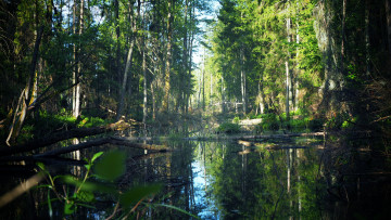 Картинка природа реки озера простор