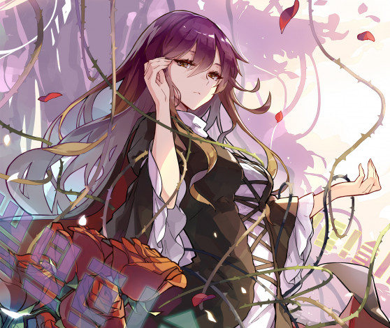 Обои картинки фото аниме, touhou, девушка