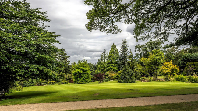 Обои картинки фото природа, парк, лужайка