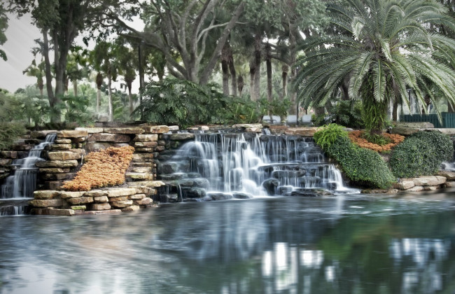 Обои картинки фото природа, парк, пальмы