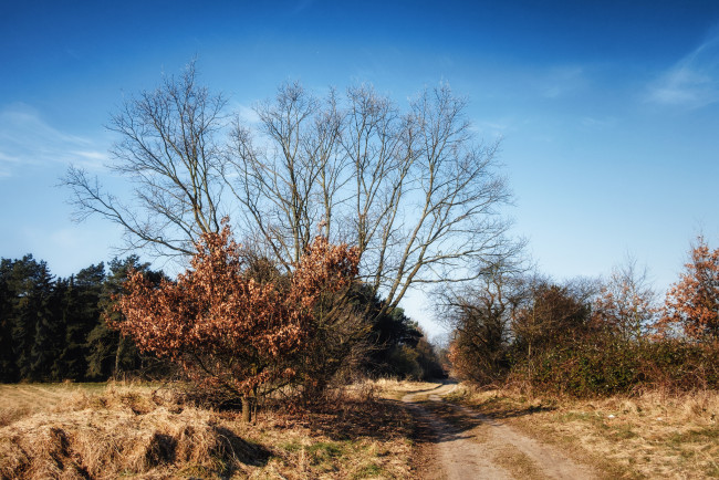 Обои картинки фото природа, дороги, простор