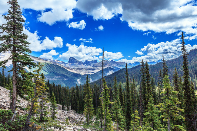 Обои картинки фото природа, горы, простор