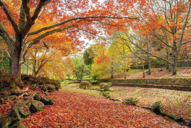 Обои картинки фото природа, парк, осень, листопад