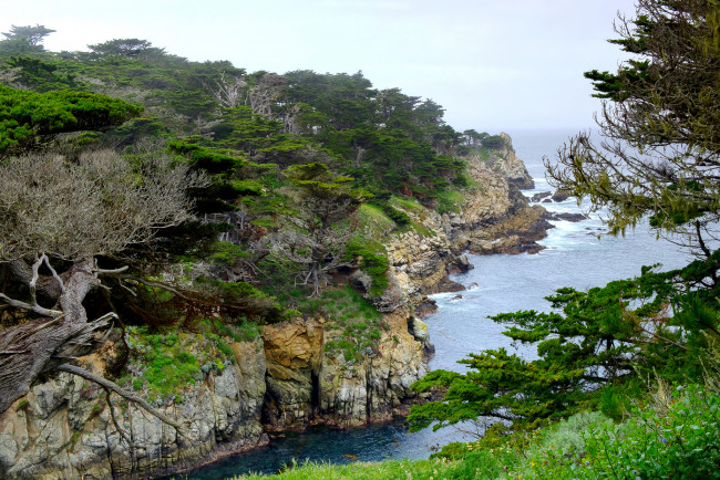 Обои картинки фото природа, побережье, простор