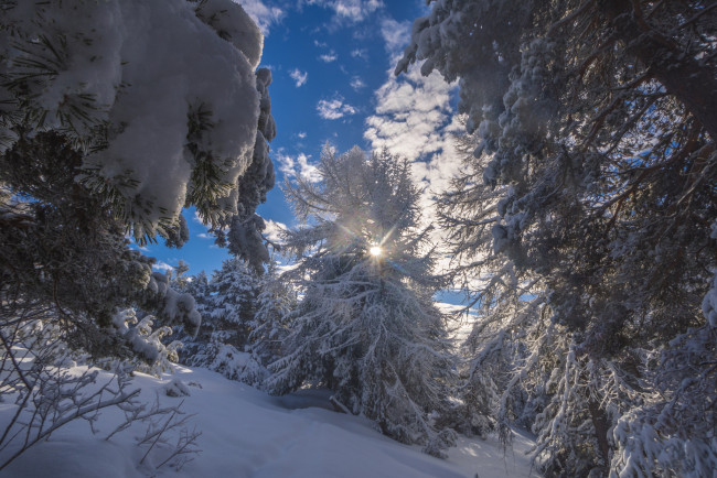 Обои картинки фото природа, зима, простор