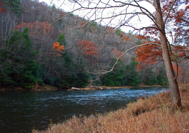 Обои картинки фото природа, реки, озера, деревья, вода, река