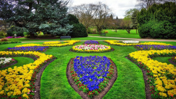 Картинка природа парк клумбы