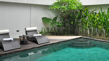 обоя интерьер, бассейны,  открытые площадки, шезлонги, бассейн, растения