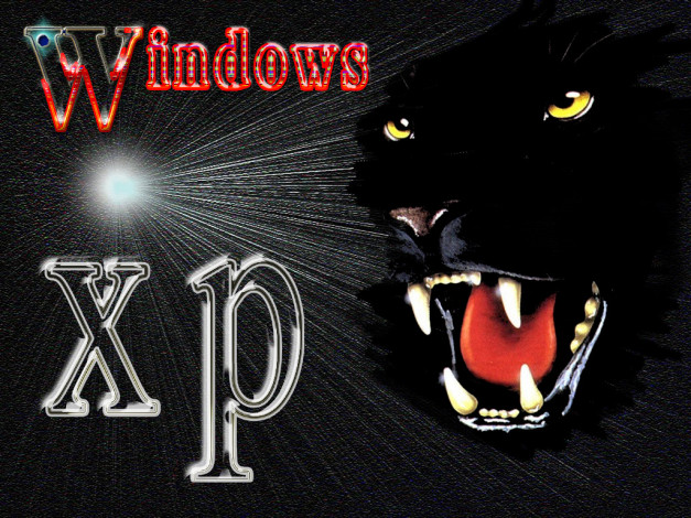 Обои картинки фото компьютеры, windows, xp