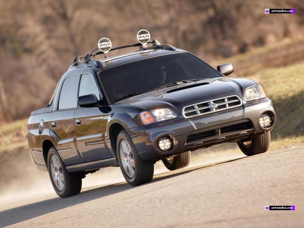 Обои картинки фото 