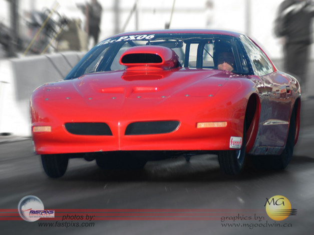 Обои картинки фото steve, pym, спорт, drag, racing