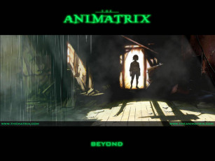 Картинка аниме animatrix
