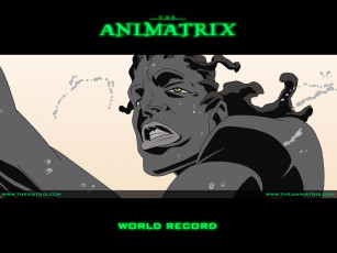 Картинка аниме animatrix