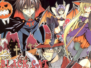 Картинка аниме black cat