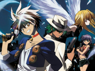 Картинка аниме black cat