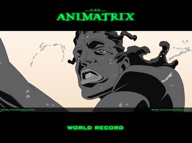 Обои картинки фото аниме, animatrix