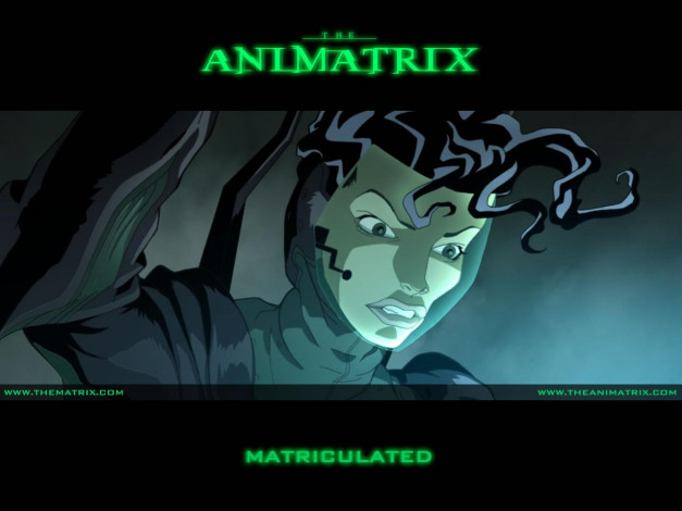 Обои картинки фото аниме, animatrix