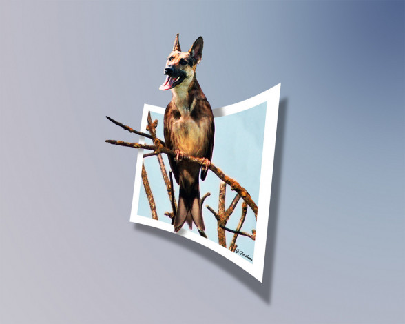 Обои картинки фото юмор, приколы